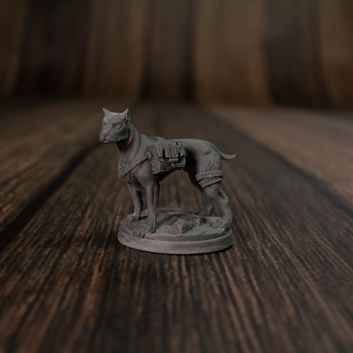 248792495_10159574446759686_6590932950734270109_n