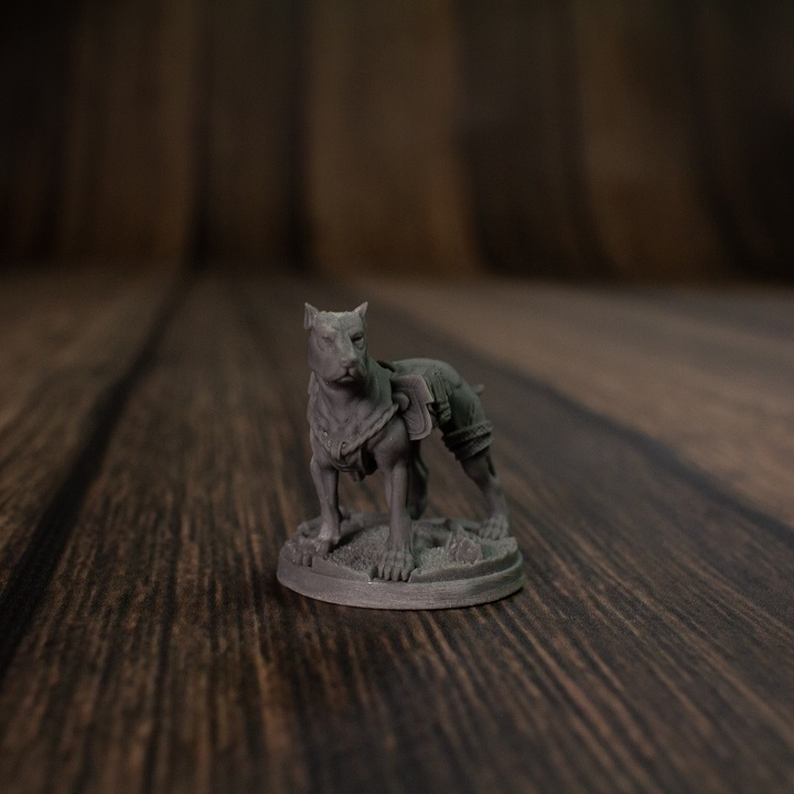 249034577_10159574446704686_7536063761338899665_n