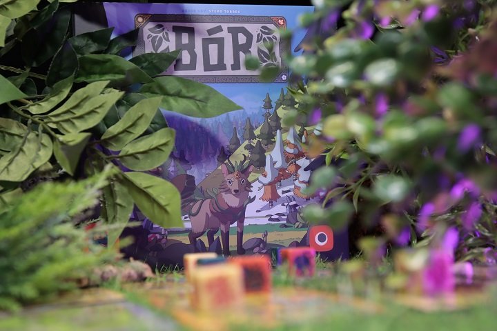 bor 7