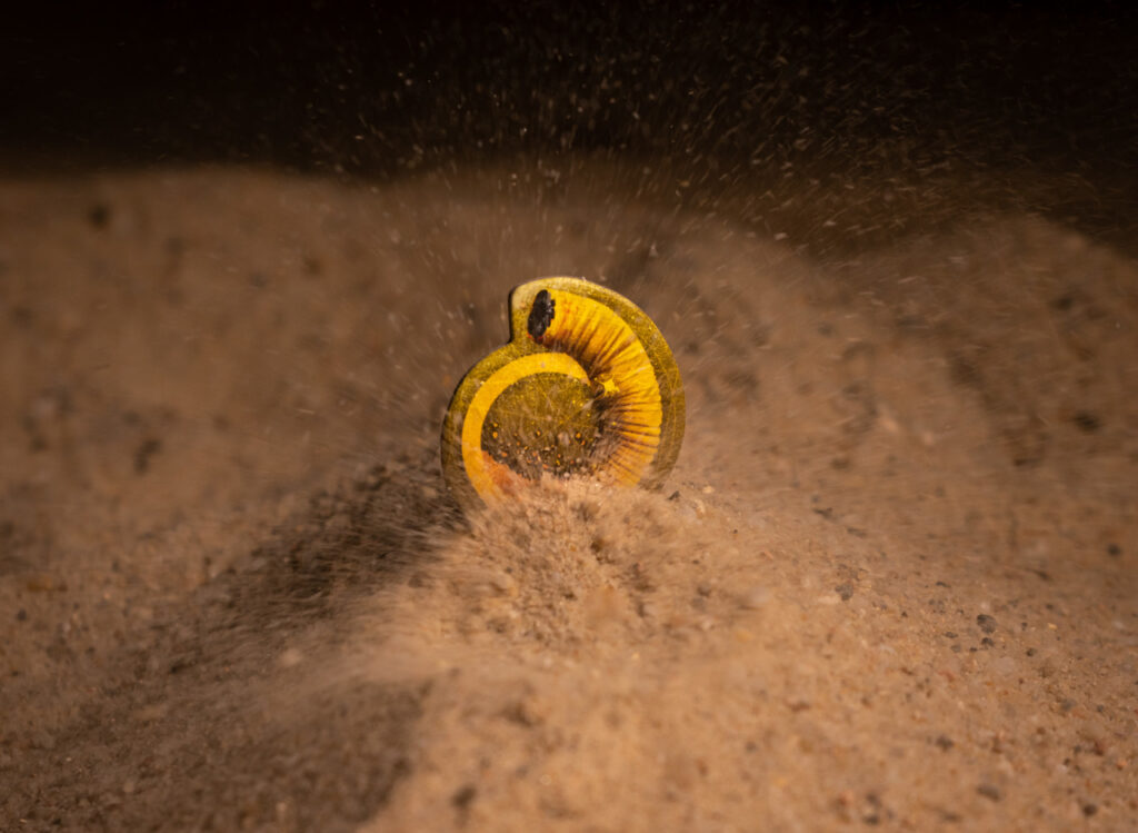 fx22_DUNE (2 of 4)_Easy-Resize.com