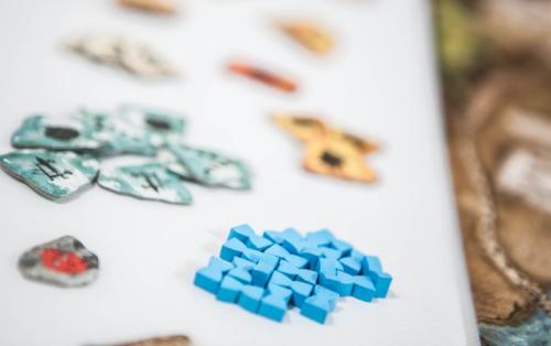 Stronghold2ed-photo (51)-small